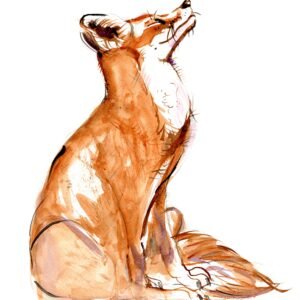 original watercolour painting Mr Fox enjoying the sun