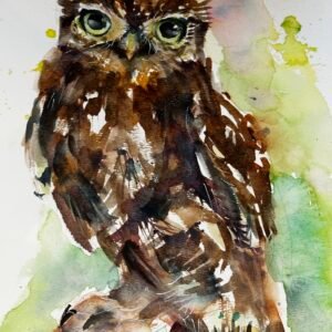 watercolour workshop owl