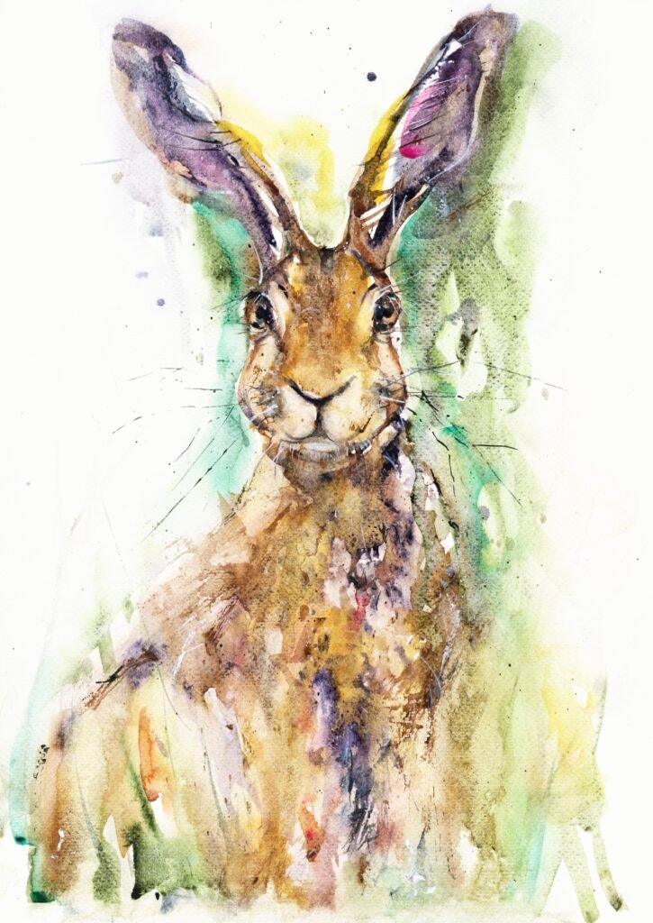 hare