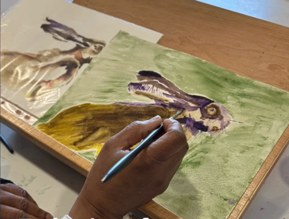 beginners hare watercolour class 2026 