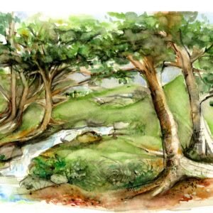 Home original watercolour hare painting (copy)